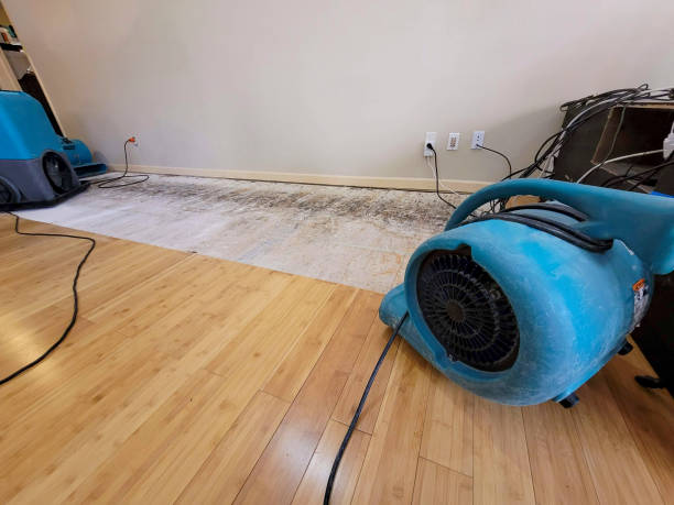 Professional Ceiling Water Damage Repair technician working in La Conner, WA